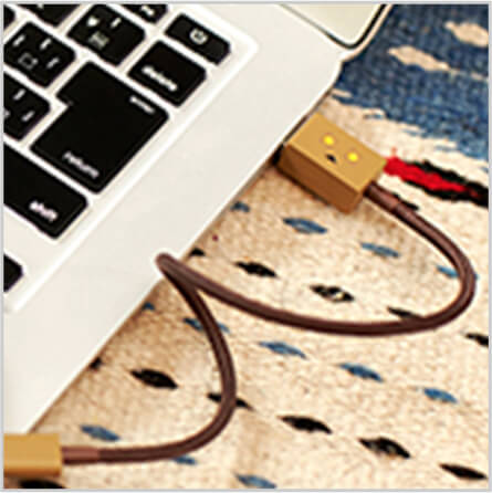 DANBOARD USB Cable