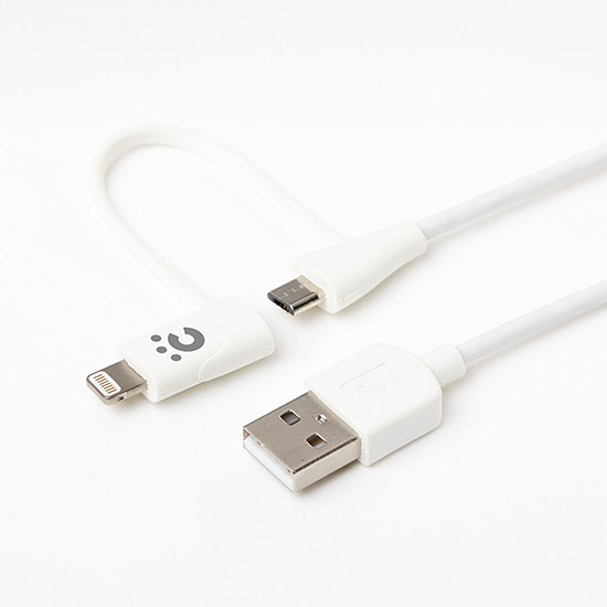 2in1 Cable 2ft (60cm)
