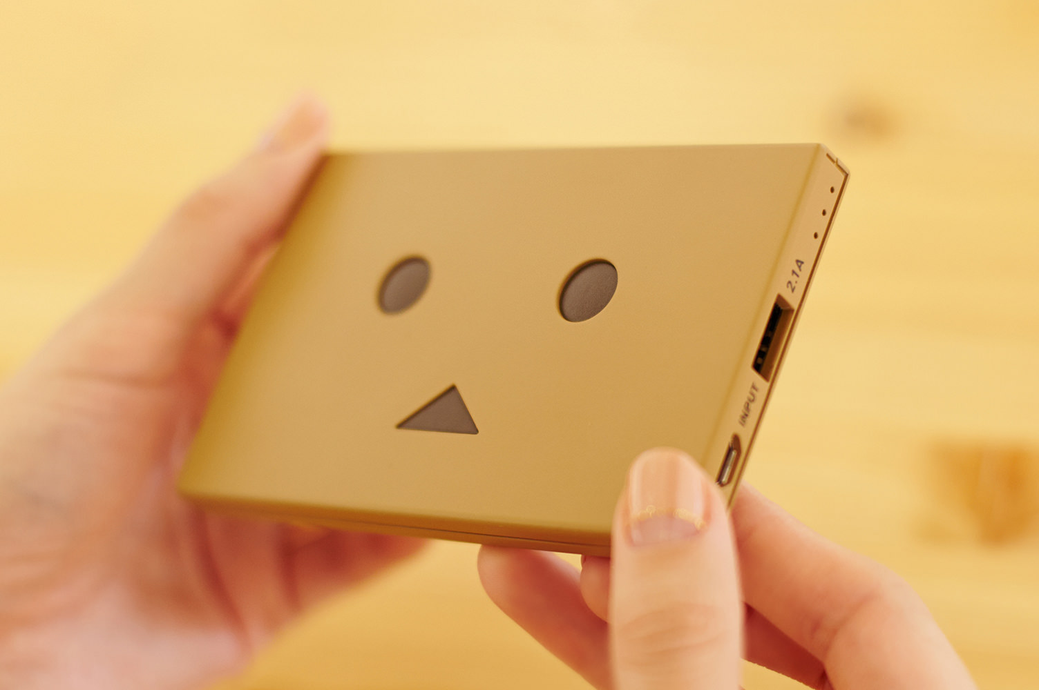 DANBOARD Plate